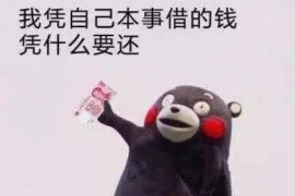 和林格尔融资清欠服务