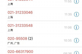 和林格尔债务清欠服务