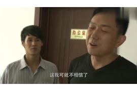 和林格尔工资清欠服务